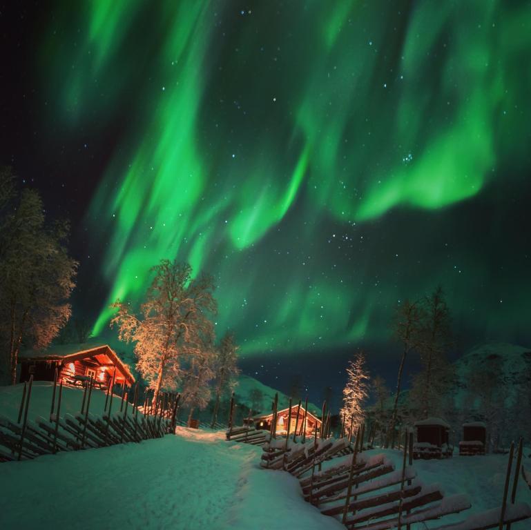 Bardu Huskylodge的天空中极光舞的图像