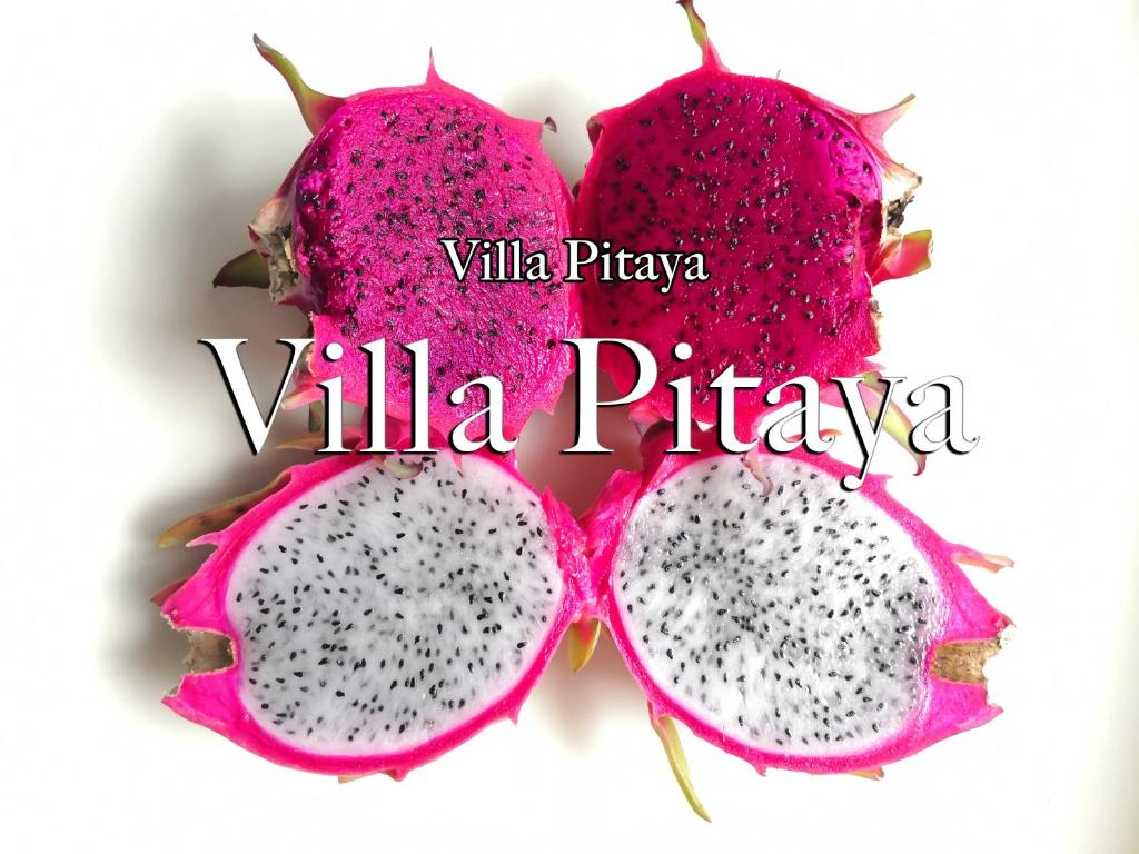勒唐蓬Villa Pitaya的一片粉红色的木瓜和别墅的比萨饼