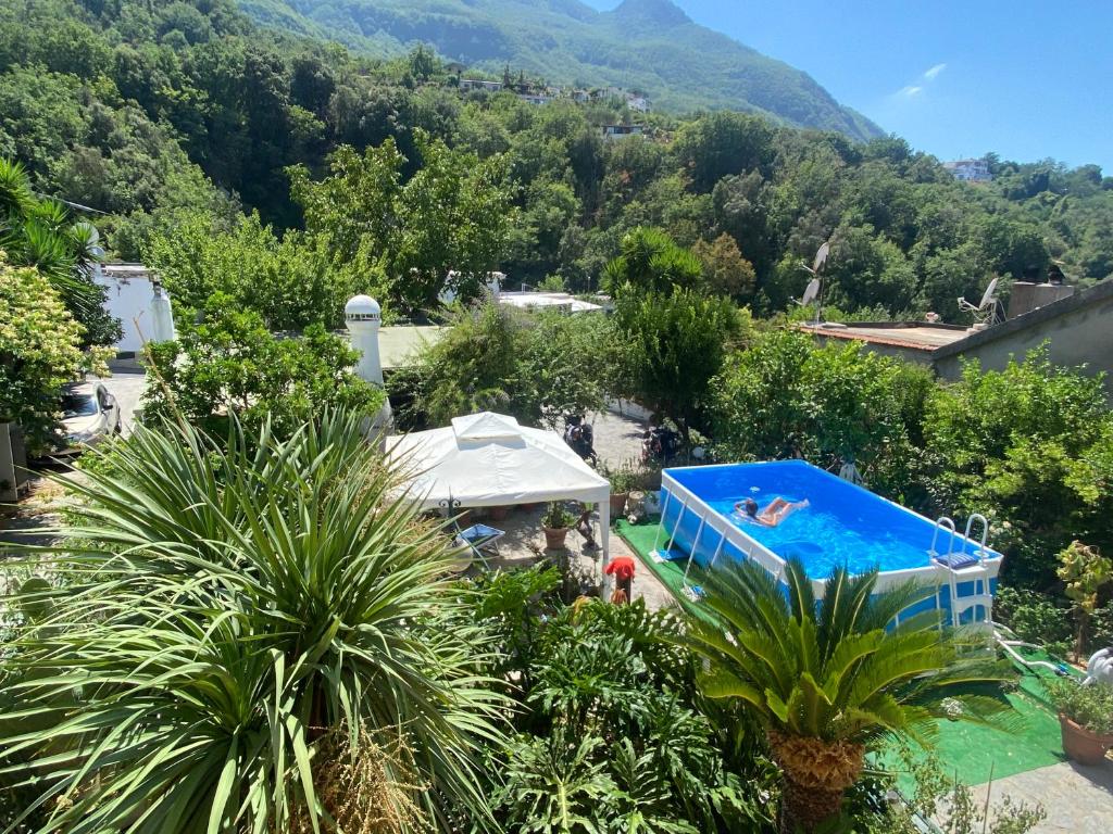伊斯基亚B&B Lodge dell'Ospite Ischia的一座位于花园内的游泳池,花园内以群山为背景