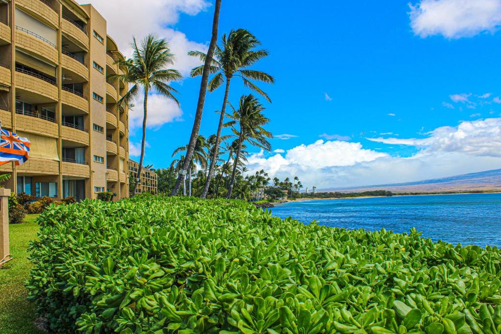 玛雷亚Island Sands Resort的棕榈树和水体的酒店景色
