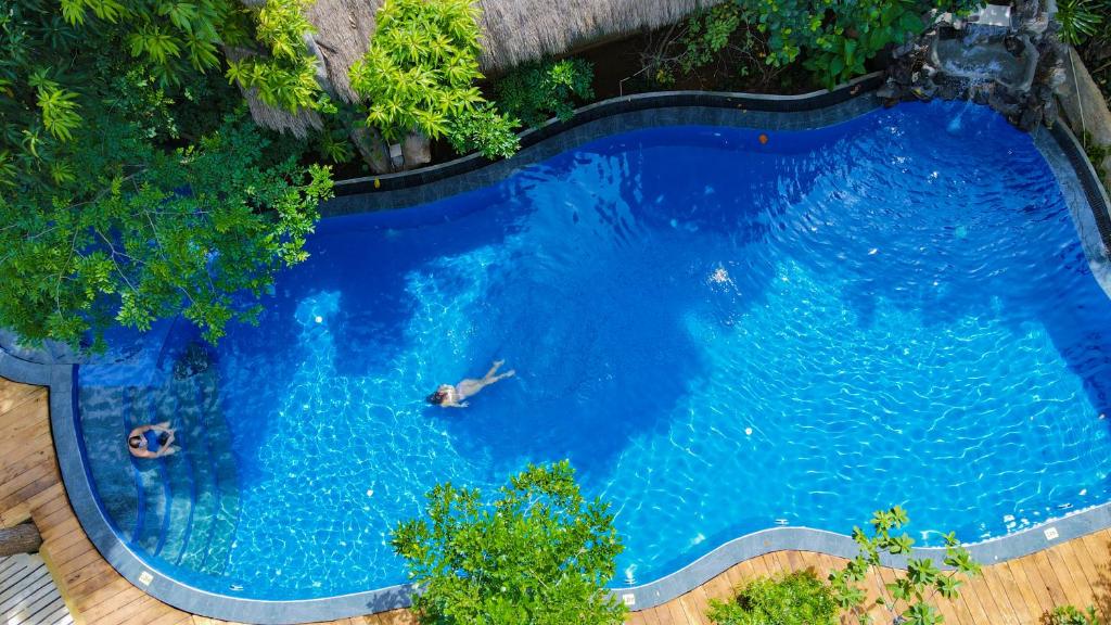 哈伯勒内Habarana Tree house Mutu village的享有大型蓝色游泳池的顶部景致
