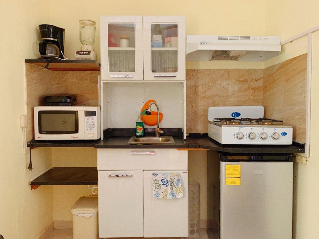 圣多明各Espectacular y Acogedor的小厨房配有白色橱柜和电器