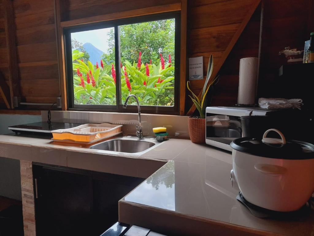 福尔图纳Cabaña Rural Ave del Paraíso的带水槽的厨房台面和窗户