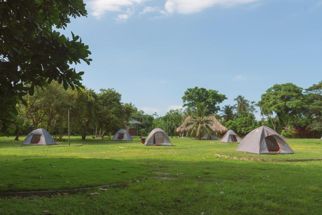 埃尔扎伊诺Camping Tequendama Playa Arrecifes Parque Tayrona的一群在树丛中的帐篷