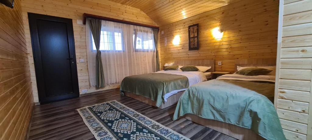 阿尔杰什河畔库尔泰亚Baltina Parc Transfagarasan的木墙客房的两张床