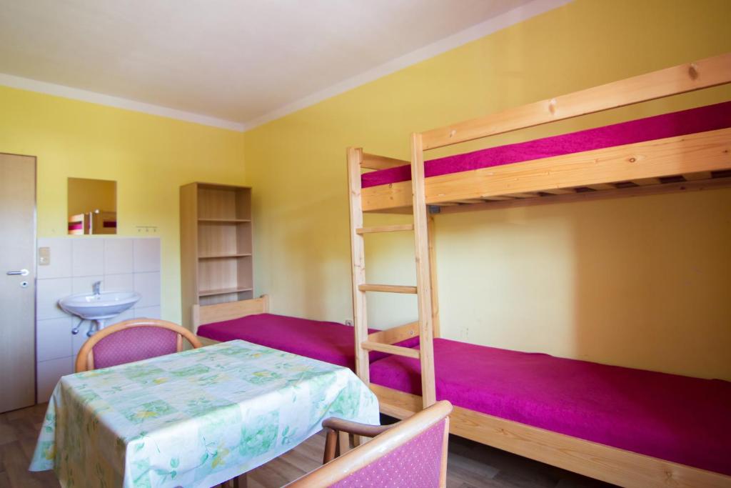 上布罗德Ubytovna Pod Hrází的一间卧室设有两张双层床和水槽
