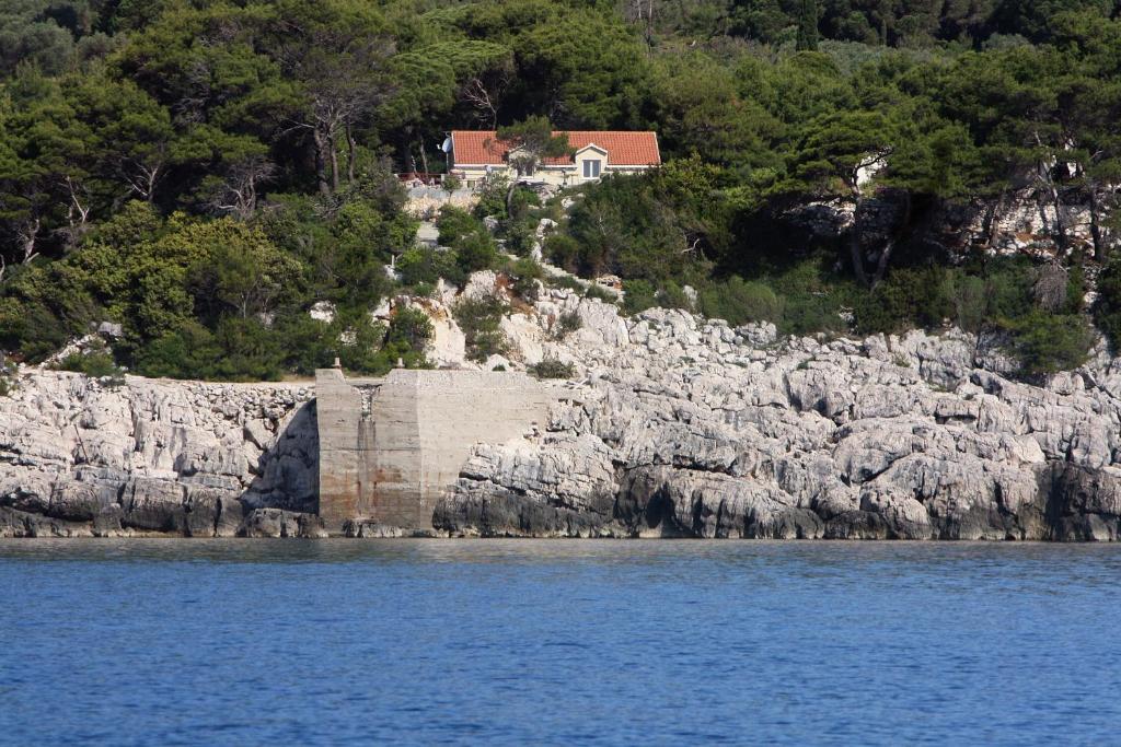 马拉诺维奇Rooms with a swimming pool Cove Saplunara, Mljet - 401的岩石峭壁边的房子