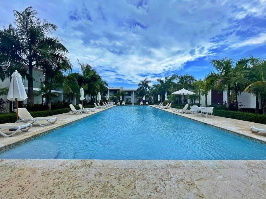 博卡奇卡Boca Paraiso的一个带椅子和遮阳伞的游泳池以及棕榈树