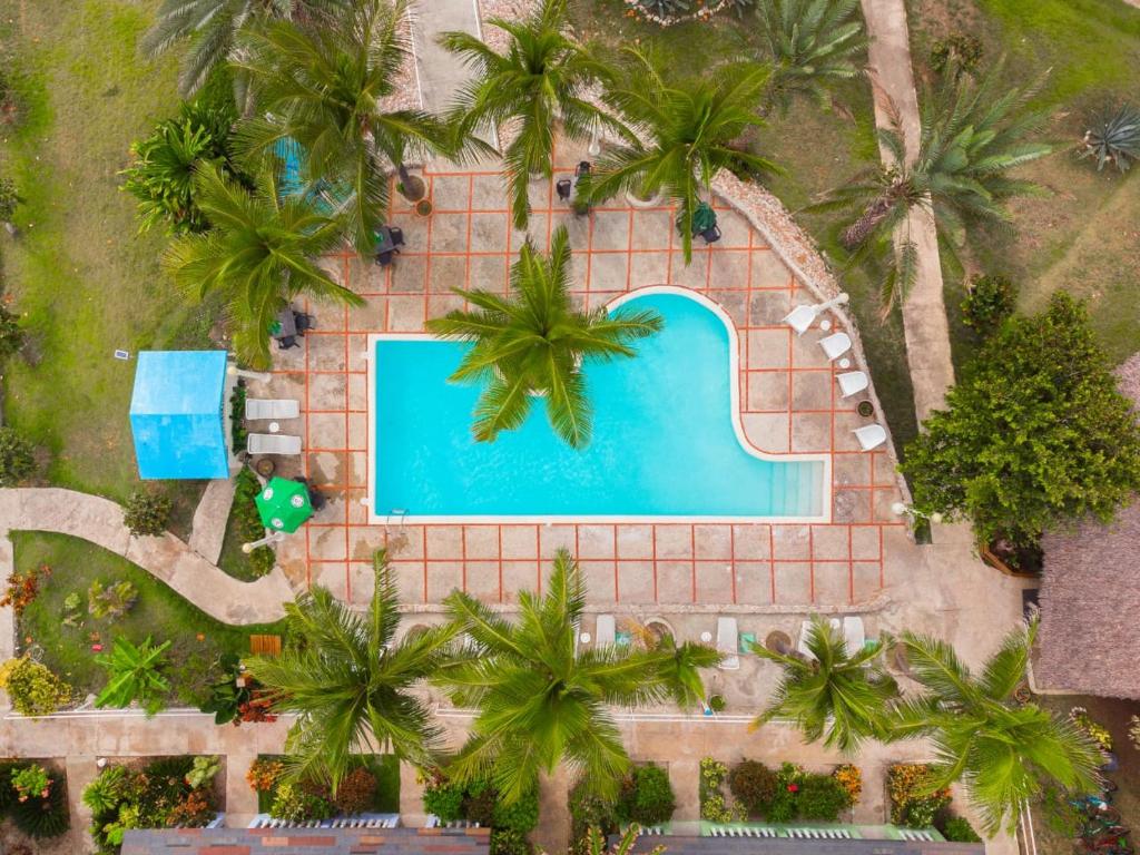 巴拉奥纳省圣克鲁斯Hotel Playazul的享有棕榈树游泳池的顶部景致