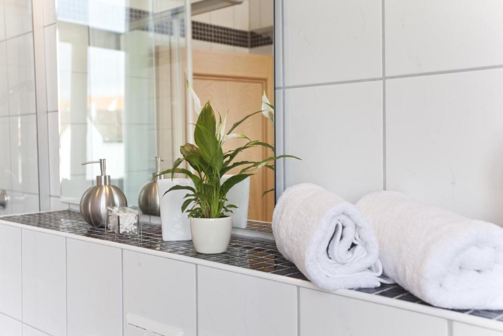 施派尔哈蒙德宾馆的浴室设有毛巾和镜子的台面