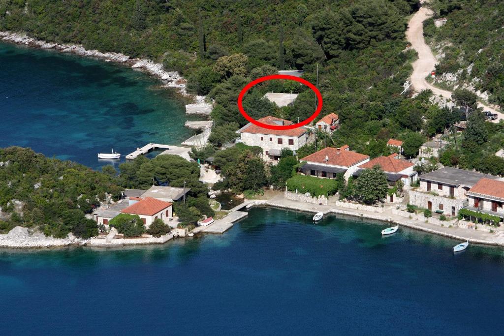 马拉诺维奇Apartments by the sea Prozurska Luka, Mljet - 617的水中有一个房子的岛屿