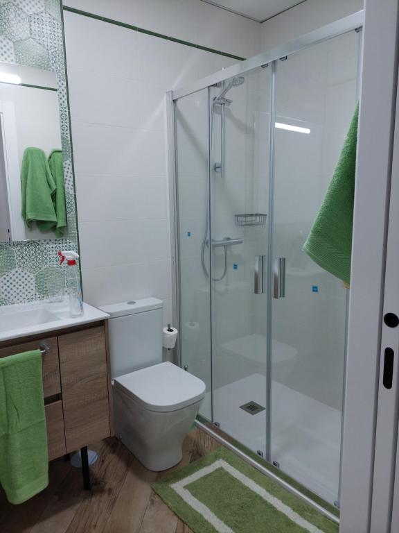 阿尔豪林德拉托里Avocado Suite by Alhaurín Loft City Center的带淋浴、卫生间和盥洗盆的浴室