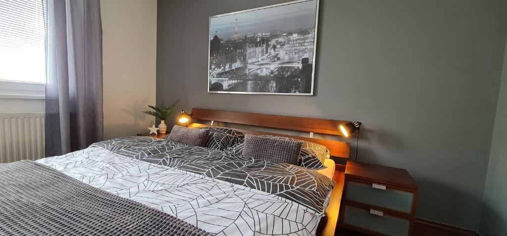兹诺伊莫Apartmán P+Z的卧室配有一张挂在墙上的床铺