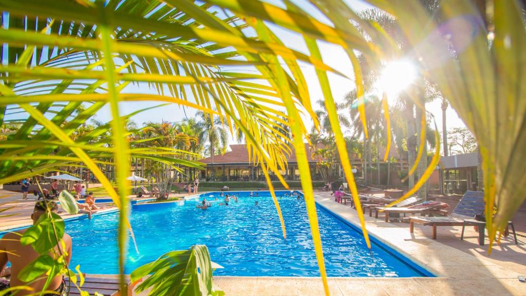 伊瓜苏港堪普勒约美洲酒店的一座棕榈树游泳池,里面的人