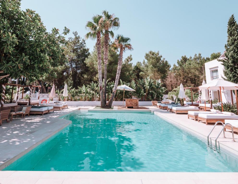 圣安东尼奥湾Hotel Boutique & Spa Las Mimosas Ibiza的度假村的游泳池配有躺椅和遮阳伞
