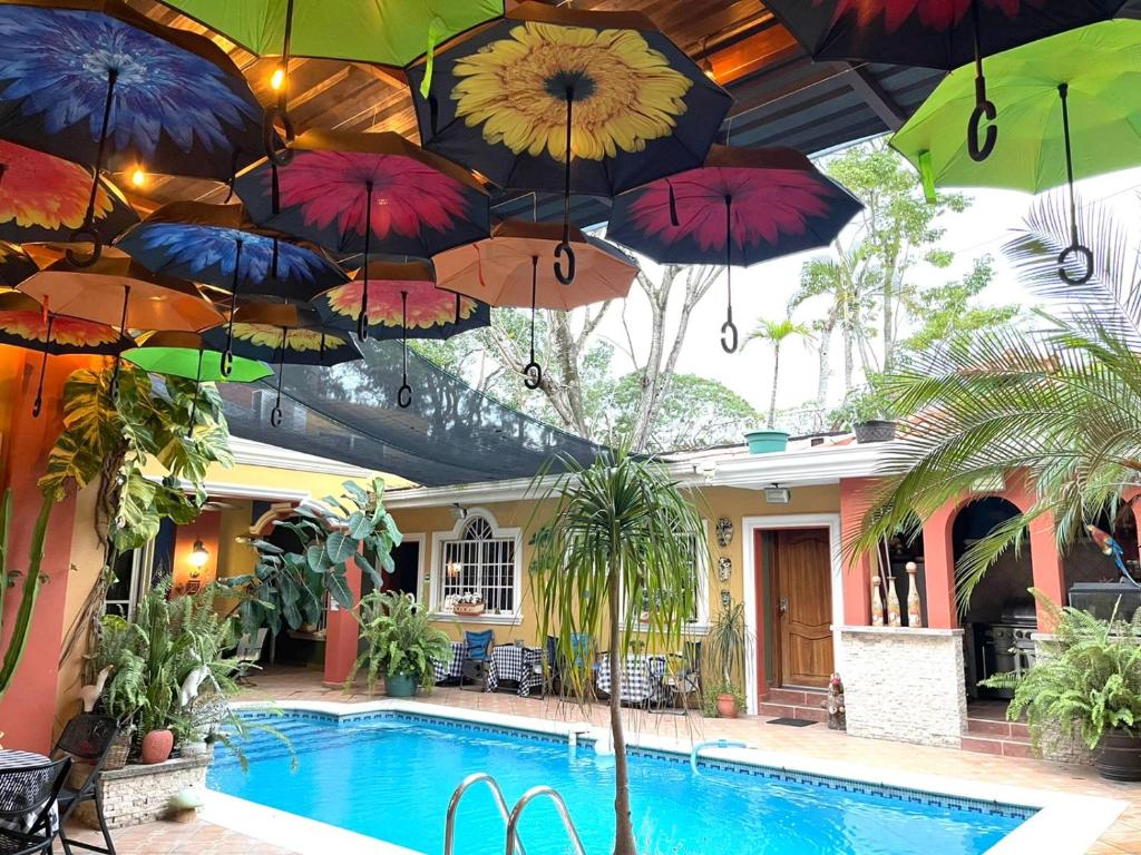 圣佩德罗苏拉Refugio de la Montaña B&B的悬挂在游泳池上的一组遮阳伞