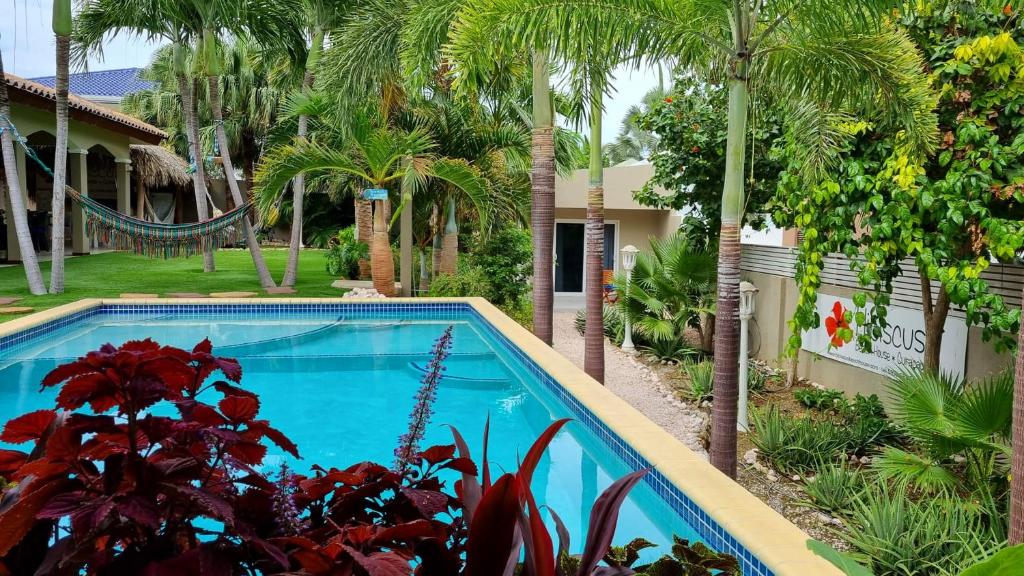 威廉斯塔德芙蓉海滨民宿的棕榈树庭院内的游泳池