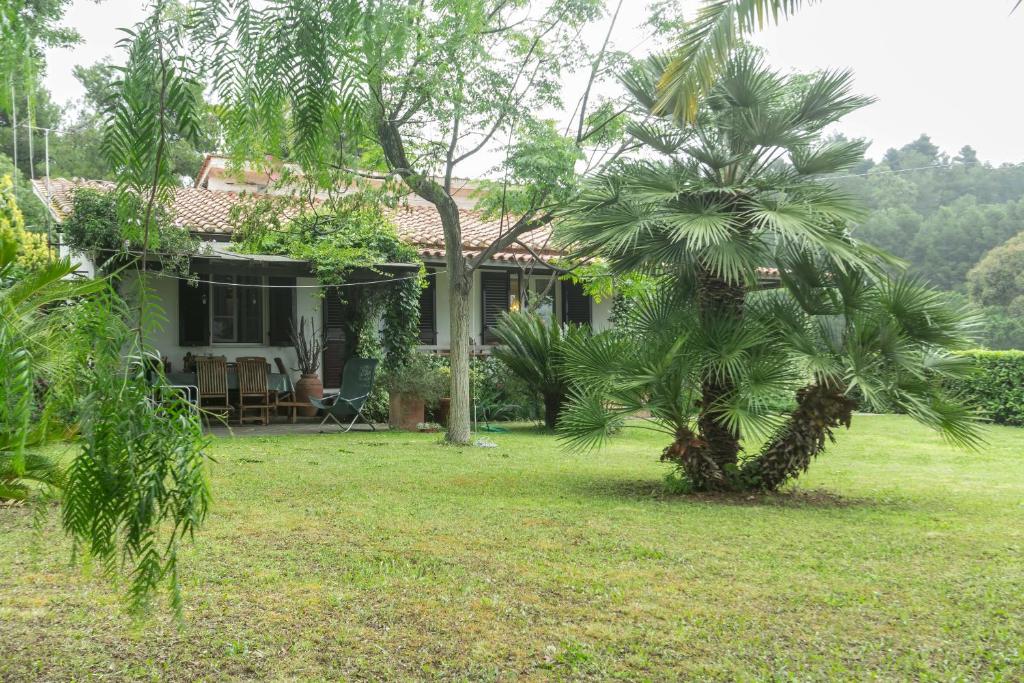 阿祖罗港Villa Monserrato - Goelba的院子前有棕榈树的房子