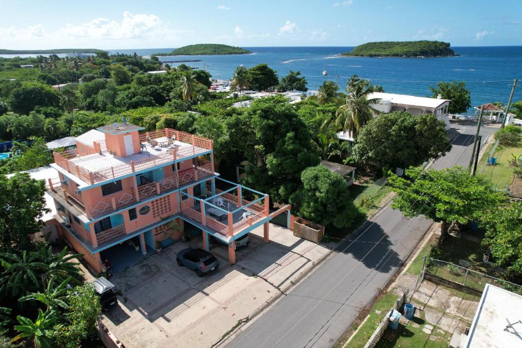 别克斯Esperanza Inn Guesthouse的背景中海洋的房屋的空中景观