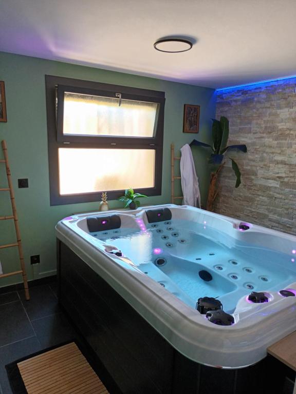 佩皮尼昂Superbe appartement avec jacuzzi et extérieur的窗户客房内的大浴缸
