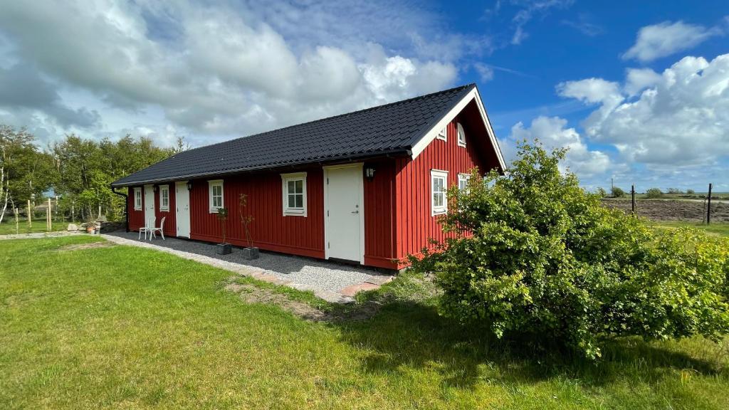 GlommenSöndre Gårds Haväng的一块田野上黑色屋顶的红色房子