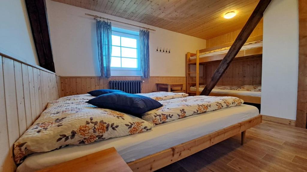 派克波特斯耐兹库Horský penzion VEBROVY BOUDY的小屋内设有一间带两张双层床的卧室