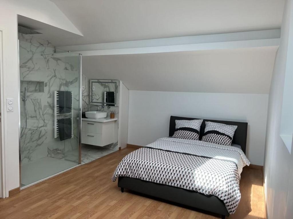 马赛Maison avec Jacuzzi Marseille的一间带一张床的卧室和一间带镜子的浴室