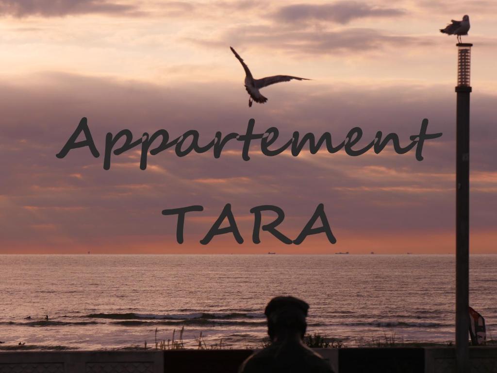 赞德沃特Geräumiges und Modernes Apartment Tara am Meer mit Parkplatz!的一只鸟飞过海洋,说着同意了