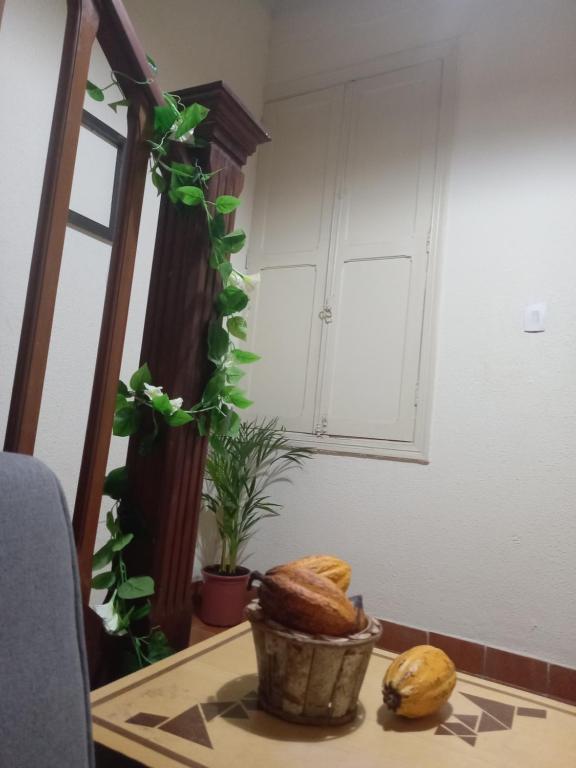 圣保罗Hostel Trilhas e Rotas - a 150m da Avenida Paulista的一张桌子上放着一篮面包