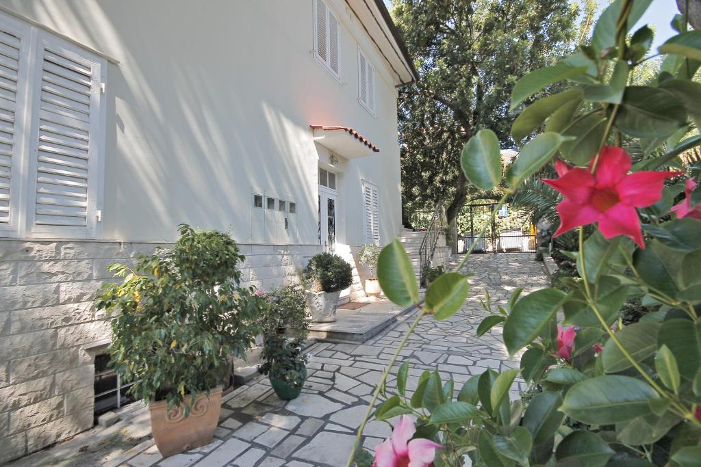 斯普利特马提尼别墅公寓的种有盆栽植物的庭院和一座建筑