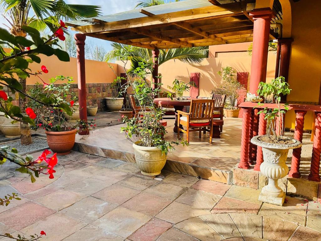 马埃岛Effie Mountain View Gecko Villa的户外庭院种植了盆栽植物,设有木制凉棚。