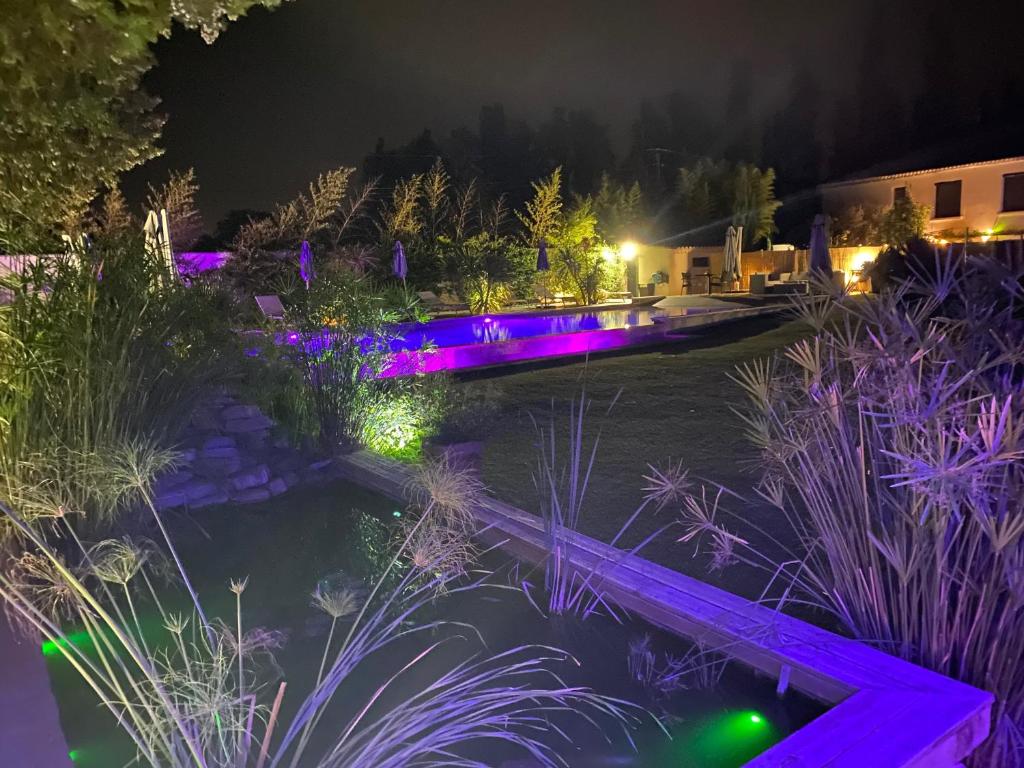 CabannesLe Mas des Mirabelles的花园在晚上点燃紫色的灯光