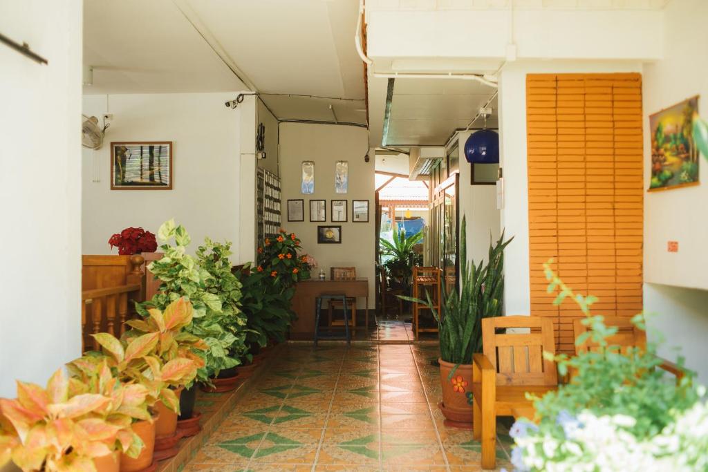 清迈Nu Phen Homestay的充满了许多盆栽植物的房间