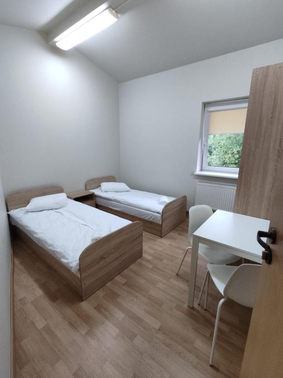 克雷廷加Trevena Kretinga的客房设有两张床、一张桌子和一个窗户。