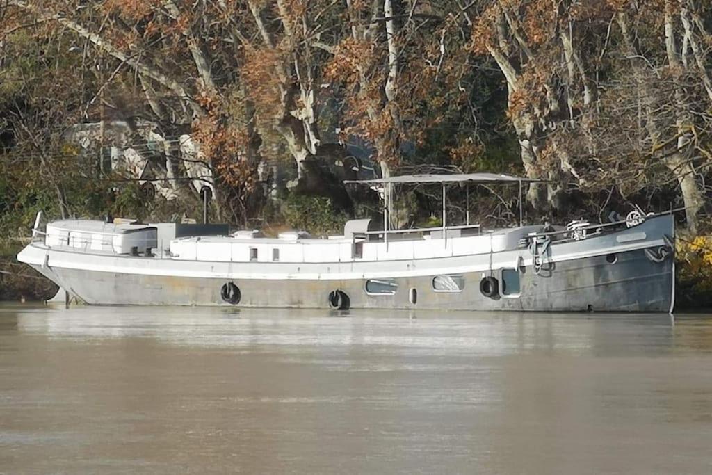 阿维尼翁Location Péniche Avignon的船上的船只坐在河水里