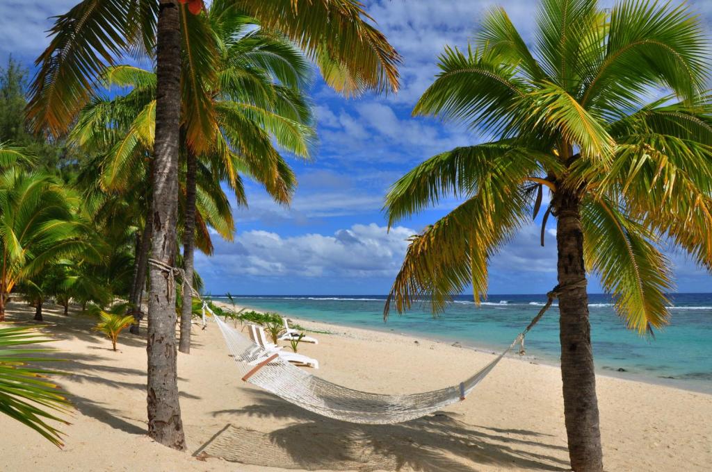 拉罗汤加落日度假村的棕榈树海滩上的吊床