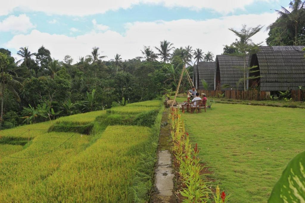 里辛Omah Bapak Ijen Eco House的两个人坐在田野的长凳上