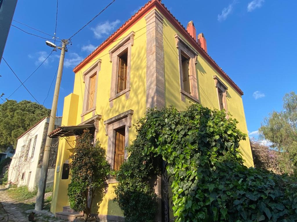 艾瓦勒克Stone House with Garden in Cunda/Ayvalik的一座古老的黄色和绿色房子,有藤蔓