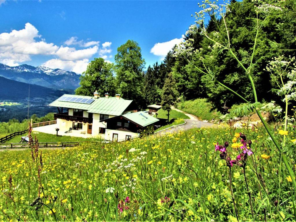 柯尼希斯湖畔舍瑙4 Bergpanorama mit herrlicher alpinen Almlandschaft Nichtraucherdomizil的一座花田小山上的房子