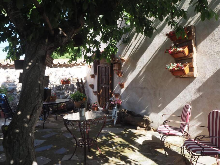 阿维拉Casa Rural El Guindo的一个带桌椅和树的庭院
