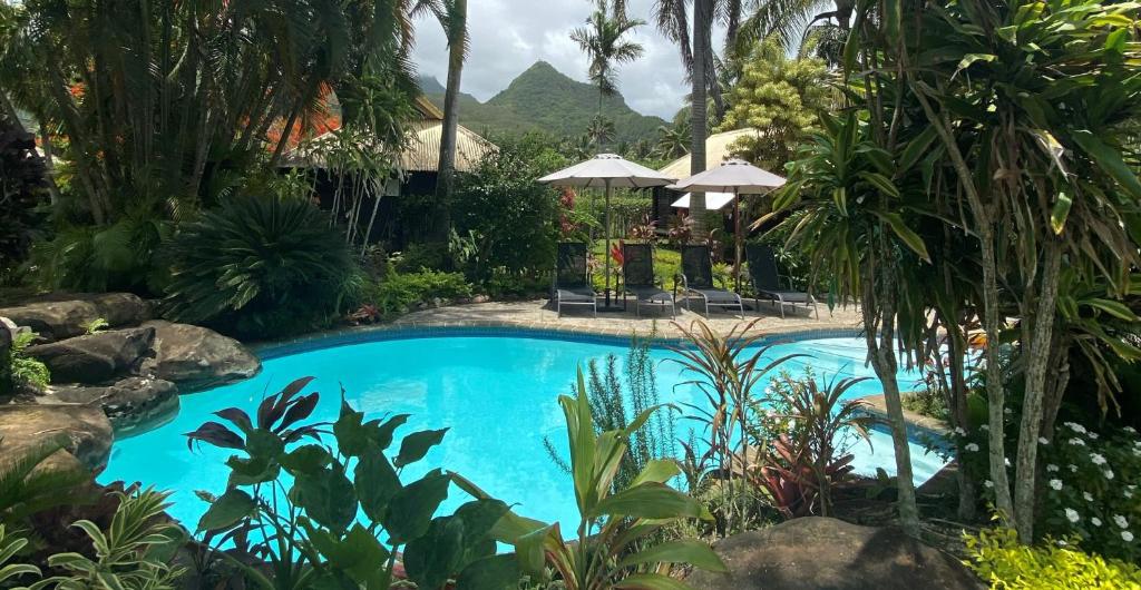 拉罗汤加伊库拉吉环保帐篷酒店的花园中的一个游泳池