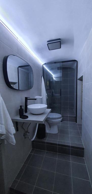 蒂米什瓦拉CBT Apartament的一间带水槽、卫生间和镜子的浴室