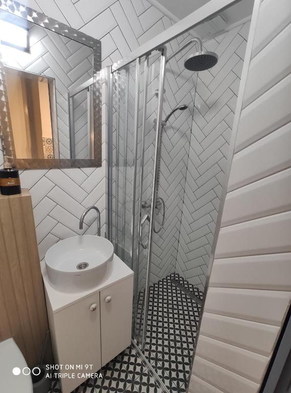 彼得罗瓦拉丁Room Angel的带淋浴和盥洗盆的浴室