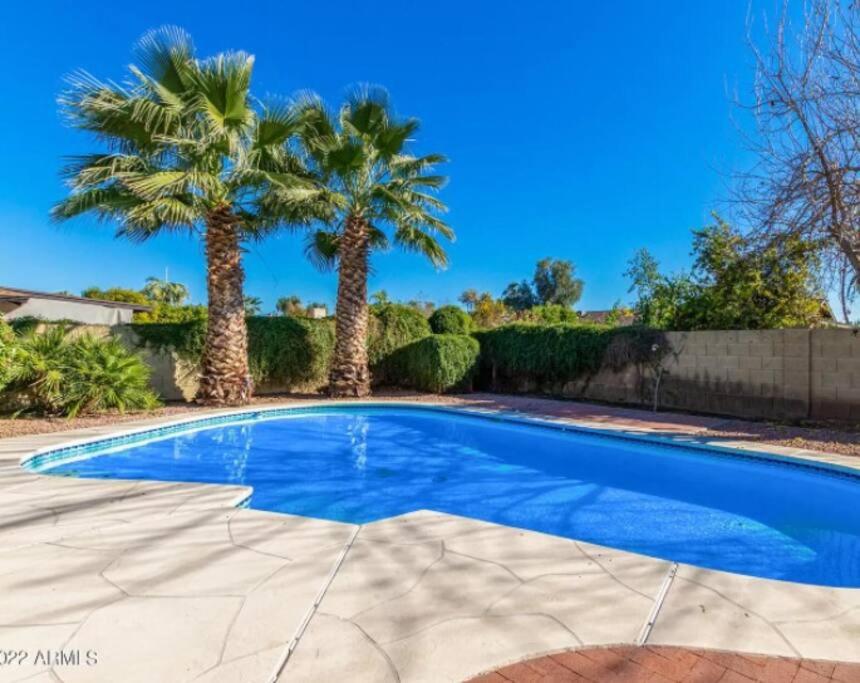 格伦代尔Amazing 3 BR w/Pool, minutes from PHX and Sports的庭院内棕榈树游泳池