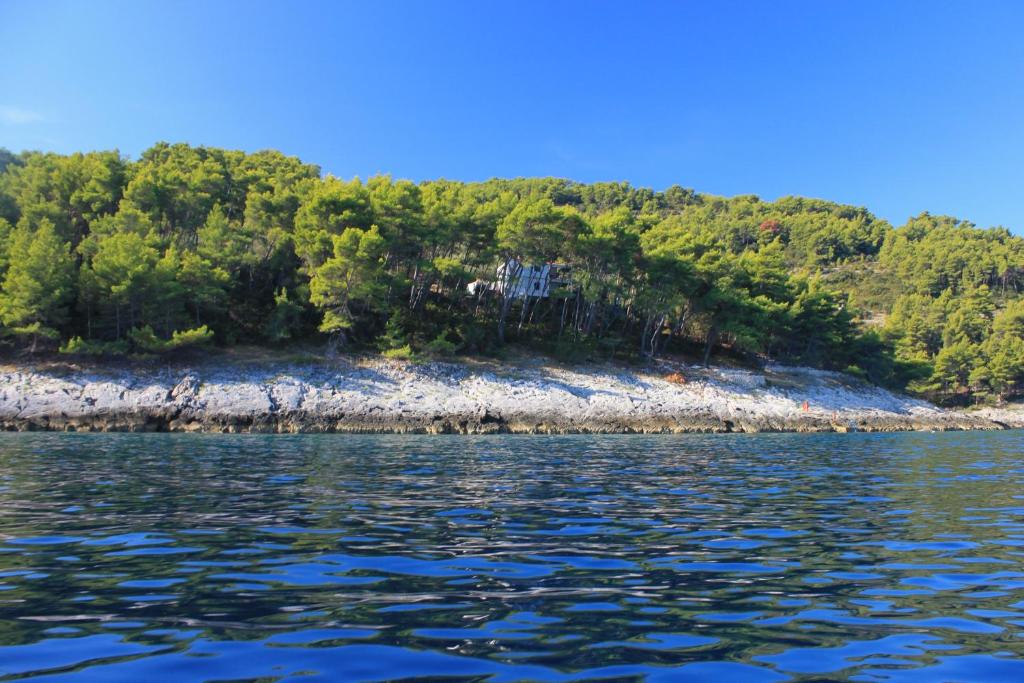 尼亚卢卡Secluded fisherman's cottage Cove Spiliska, Korcula - 9142的水体中间的一个岛屿