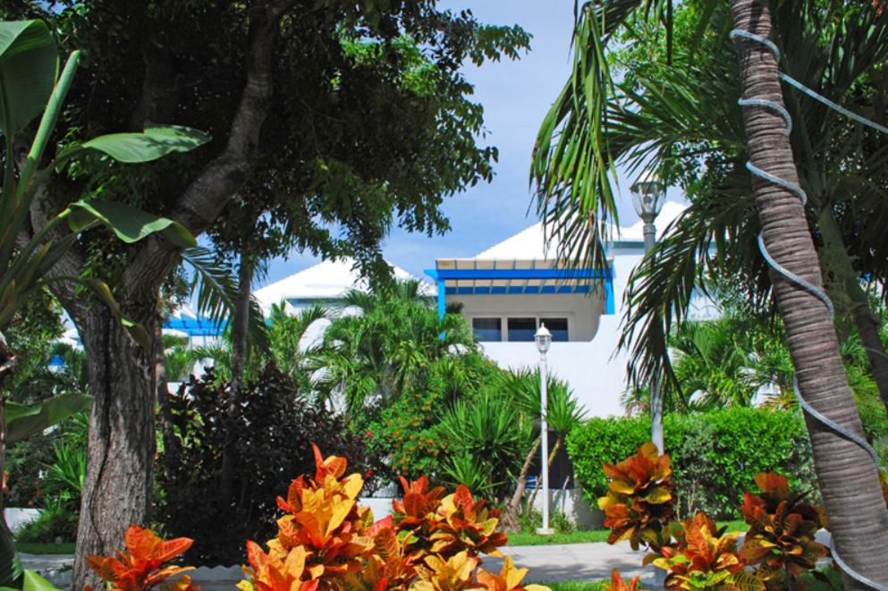 Creek VillagePerfect Island Retreat at Paradise Island Beach Club Villas的一座棕榈树和鲜花盛开的建筑