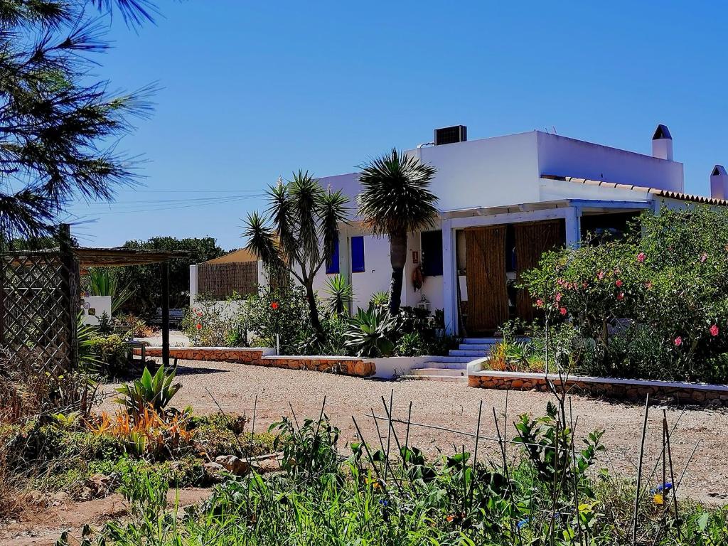 圣弗朗西斯科哈维尔Ca n'Antonia Formentera的前面有大量植物的房子