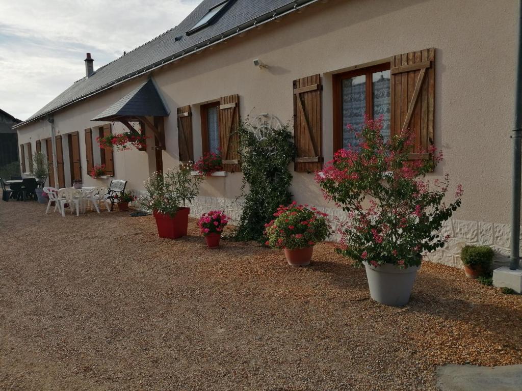 Channay-sur-LathanGîte de la Casse的前面有盆栽植物的房子