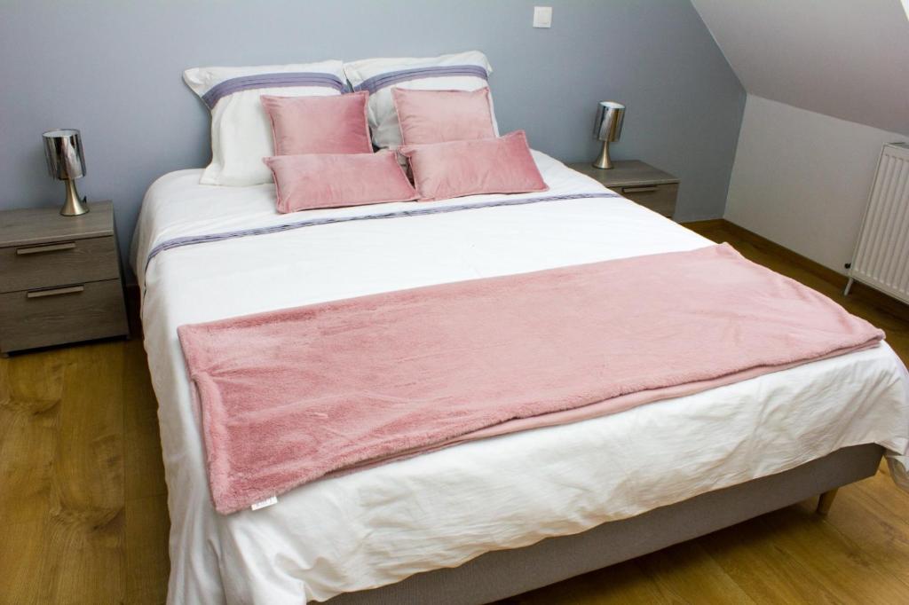 鲁瓦西恩布里F2 Duplex chez l'aventurière près Disneyland的卧室配有一张带粉红色枕头的大床