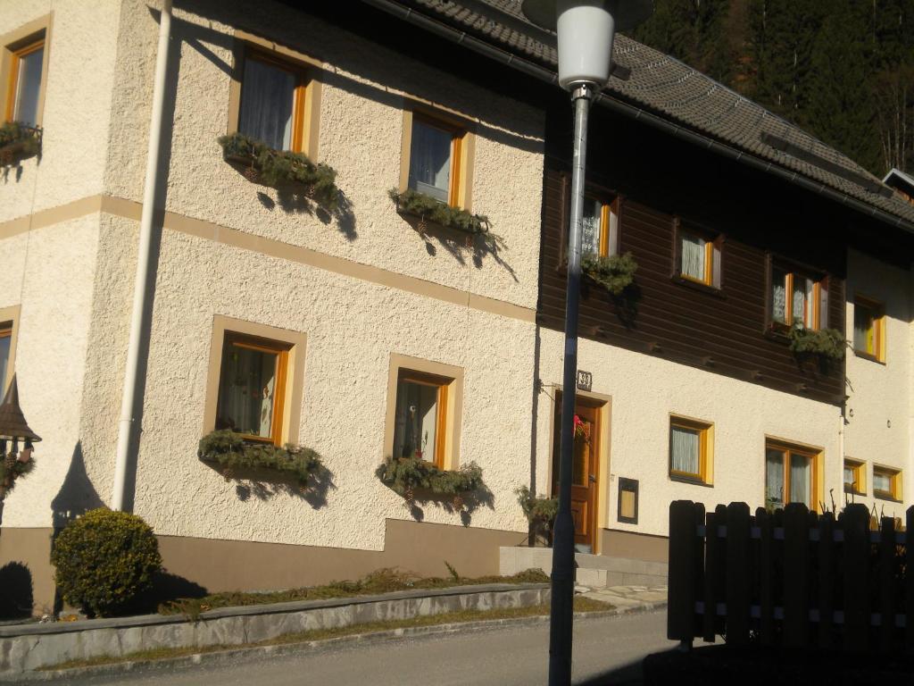 ReisachHaus Stöffler的窗户上布满盆栽植物的建筑